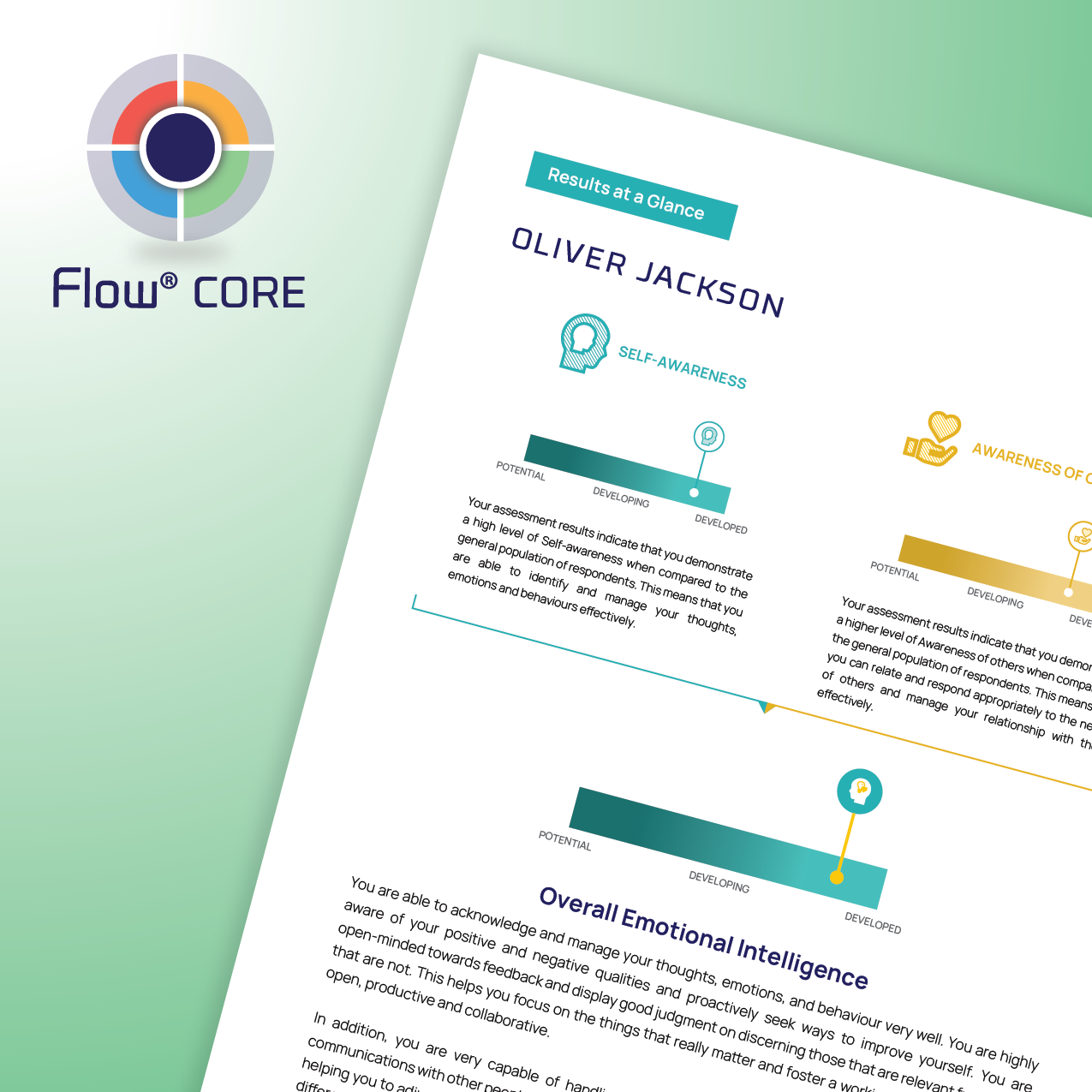 <b>CORE Report </b><br>(DISC + EI)