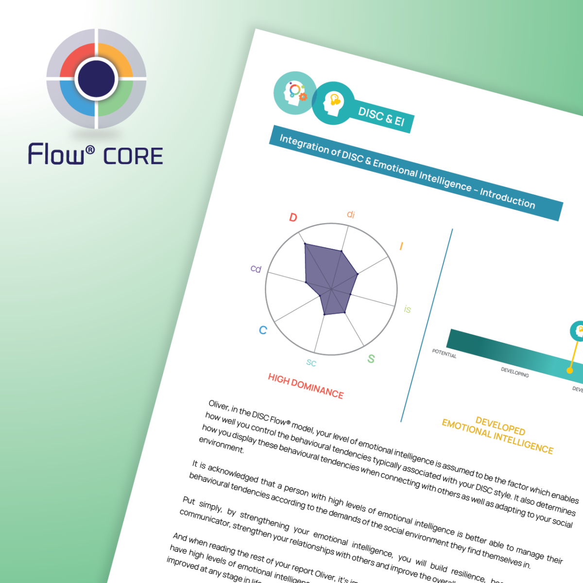 <b>CORE Report </b><br>(DISC + EI)